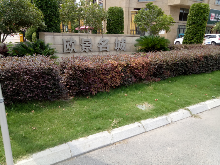 盐城阜宁欧景名城室内空气质量甲醛检测20190727